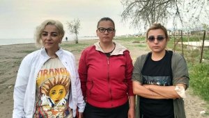 Dikili'de 5 köpeği zehirli sosisle öldürdüler