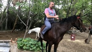 Doktora 9 kurşunun nedeni bu atlar!