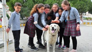 Elmas öğretmenin sahiplendiği 'Badem' okulun maskotu oldu