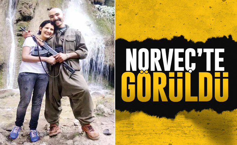 HDP'li eski milletvekili Semra Güzel Norveç'e kaçtı
