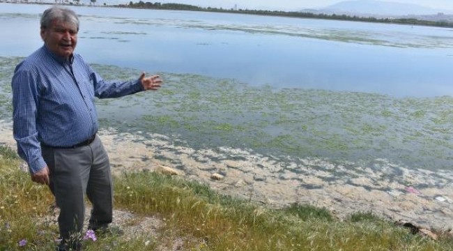 İşte kirliliğin kanıtı! Deniz marulu ortaya çıktı