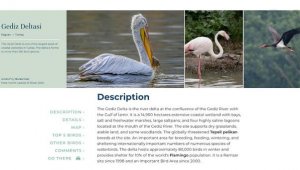 İzmir Gediz Deltası 'Birding Places' ağına dahil oldu