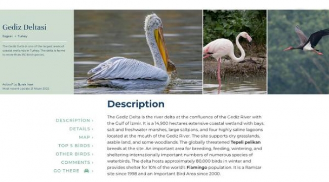 İzmir Gediz Deltası 'Birding Places' ağına dahil oldu