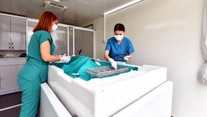 İzmir'de sokak hayvanları için mobil hizmet aracı faaliyette