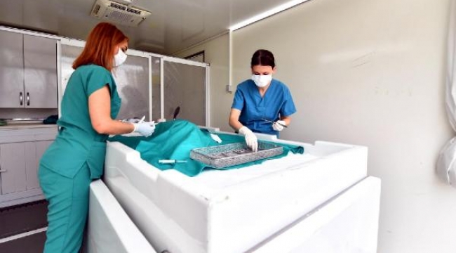 İzmir'de sokak hayvanları için mobil hizmet aracı faaliyette