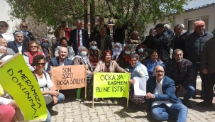 Keçi peyniri yerine güneş paneli mi yiyeceğiz? 