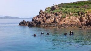 Kırmızı mercanlarıyla ünlü Ayvalık'ta dalış sezonu başladı