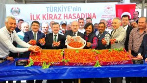 Manisa'da sezonun ilk kirazı 700 TL'den satıldı