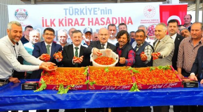 Manisa'da sezonun ilk kirazı 700 TL'den satıldı