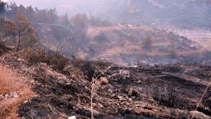 Menderes'i yakan sanığa 5 yıl hapis