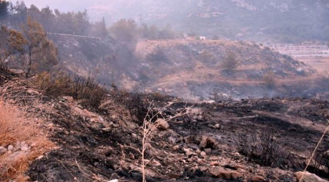 Menderes'i yakan sanığa 5 yıl hapis
