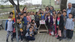 Minik eller, patiler için kulübeleri boyadı 