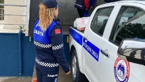 Muğla'da çuvallar içinde 696 kilogram sağlıksız et ele geçirildi