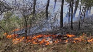 Kazdağları yandı! Orman yangını sezonu erken açıldı