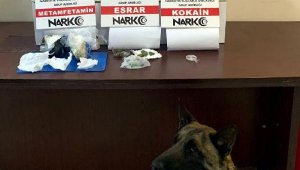 Otomobildeki 6 kilo esrarı 'Hera' buldu