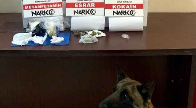 Otomobildeki 6 kilo esrarı 'Hera' buldu