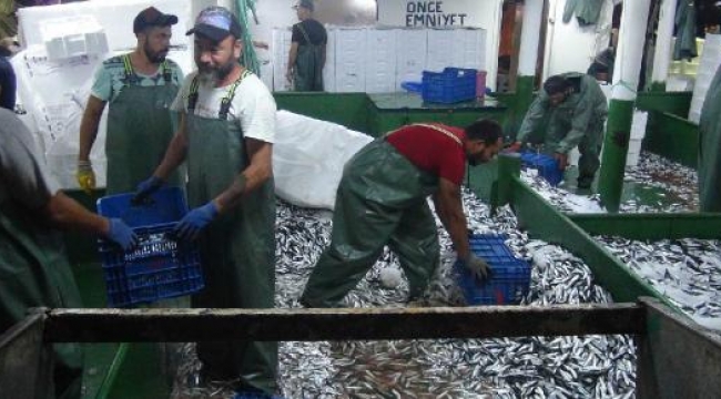 Prof. Dr. Sarı: Boğazlar ve çevrelerinin bir bölümü balık avcılığına kapatılmalı