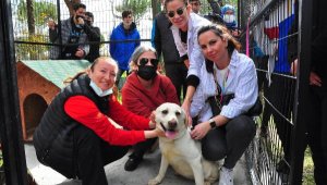 TSK'nın bomba arama köpeği Afi emekli oldu