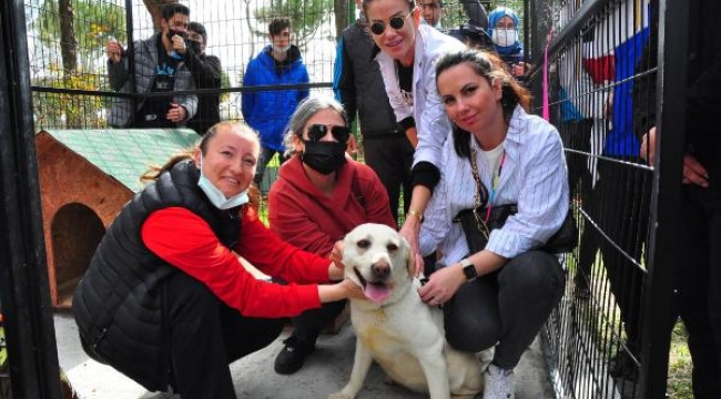 TSK'nın bomba arama köpeği Afi emekli oldu