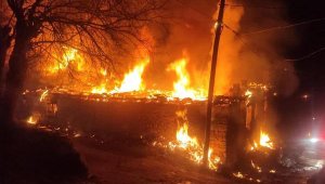 Yalnız yaşadığı evinde çıkan yangında öldü