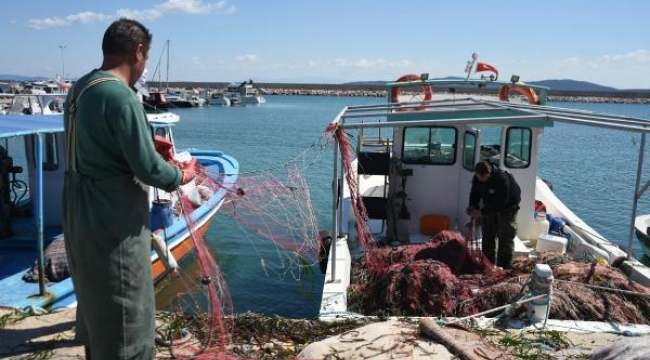 Yasağa rağmen algarna yöntemiyle deniz patlıcanı avına tepki