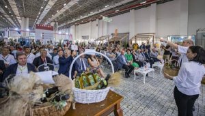 1800 yıllık ağacın zeytinyağı 75 bin liraya satıldı