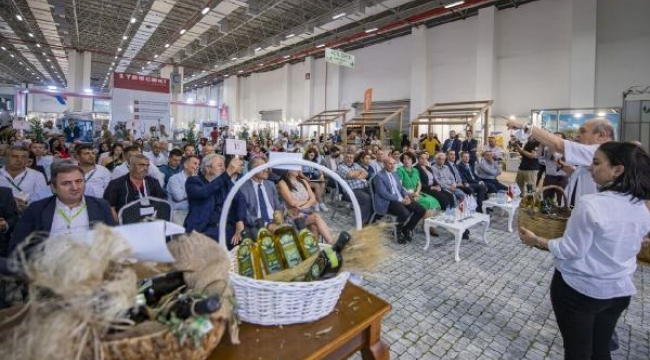 1800 yıllık ağacın zeytinyağı 75 bin liraya satıldı