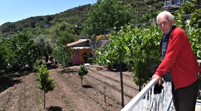 Bornova Belediyesi, üreticiye ilaçlama budama hizmeti veriyor