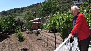 Bornova Belediyesi, üreticiye ilaçlama budama hizmeti veriyor