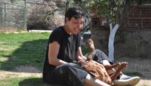 Can Bonomo'nun ablası, 165 köpekle yaşıyor