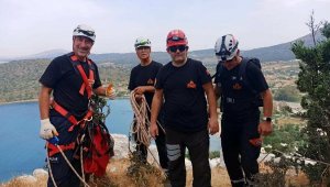 Datça'da kayalıklarda mahsur kalan keçi kurtarıldı