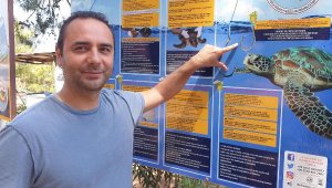 Deniz kaplumbağaları denizde de korunacak