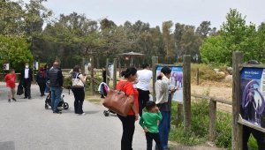 Doğal yaşam parkında bayram yoğunluğu