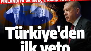 Finlandiya ve İsveç'in NATO'ya üyeliğine veto