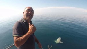 Gökçeada'da ay balığı ve balinaları görüntüledi