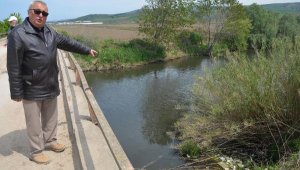 Gönen ve Susurluk çayları, denize zehir taşıyor