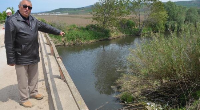 Gönen ve Susurluk çayları, denize zehir taşıyor
