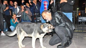 Haluk Levent, sokak köpeğiyle konser verdi