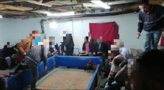 Horoz dövüştüren 31 kişiye 56  bin lira para cezası