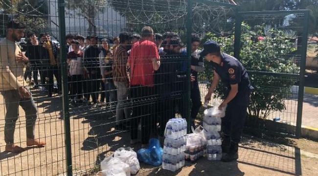 İzmir'de 237 kaçak göçmen ile 10 organizatör yakalandı