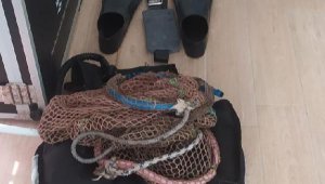 İzmir'de deniz patlıcanı avlayan 6 kişiye 44 bin TL ceza