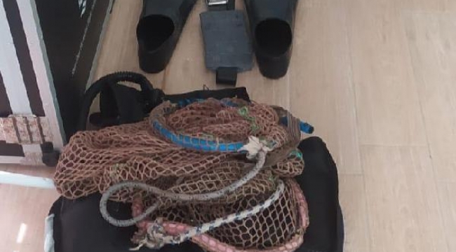 İzmir'de deniz patlıcanı avlayan 6 kişiye 44 bin TL ceza