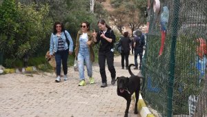 İzmir'de 'Kurtarılmış Hayvan Festivali' düzenlendi