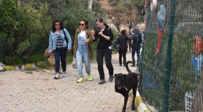 İzmir'de 'Kurtarılmış Hayvan Festivali' düzenlendi