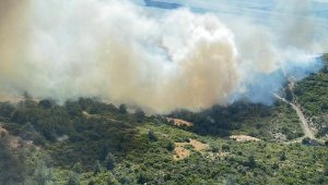 İzmir'de makilik ve orman yangını