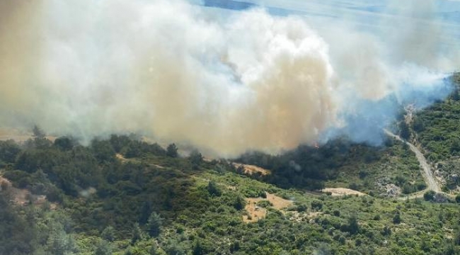 İzmir'de makilik ve orman yangını