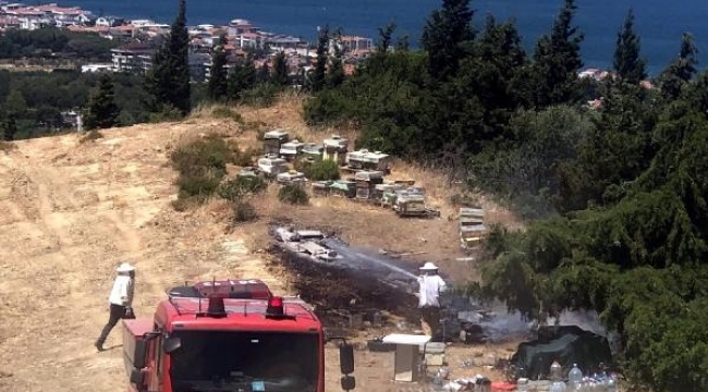 İzmir'de orman yangını