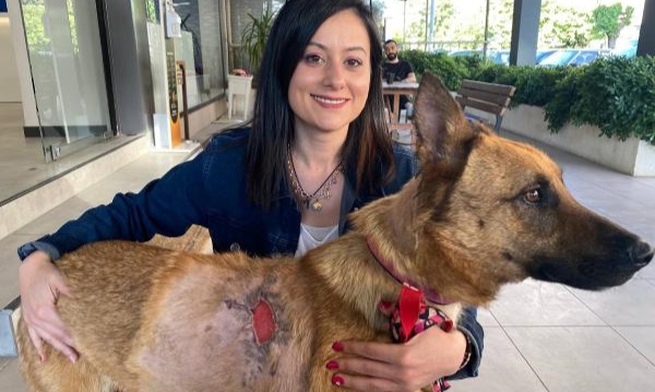 Kanser hastası sokak köpeğini kurtardı