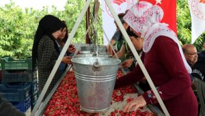 Kemalpaşa'da Kiraz Hasadı Gülümsetti
