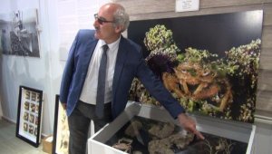 Kesin olarak müsilajla karşılaşacağız ama...